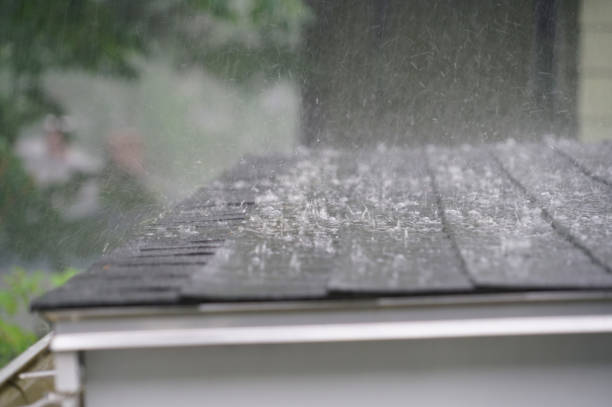 Best Roof Moss and Algae Removal  in Monroe, WA