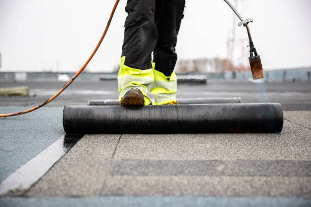 Best Skylight Installation and Repair  in Monroe, WA