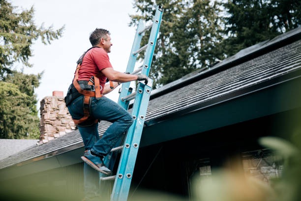 Best Solar Panel Roofing Installation  in Monroe, WA